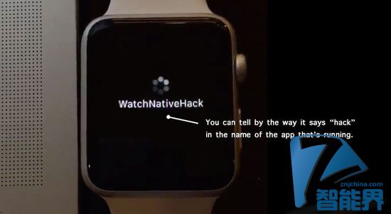 Apple Watch SDK被黑？