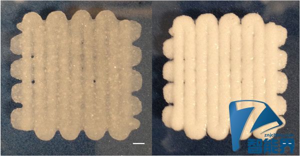 3D打印的“面包”可以用来治疗骨科疾病