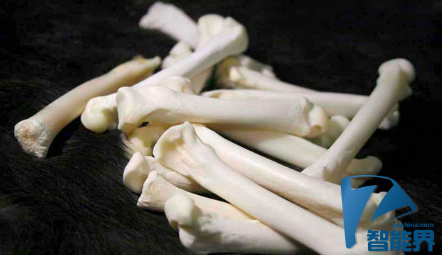 3D打印骨头新方法 骨头粉末/物胶水做原料