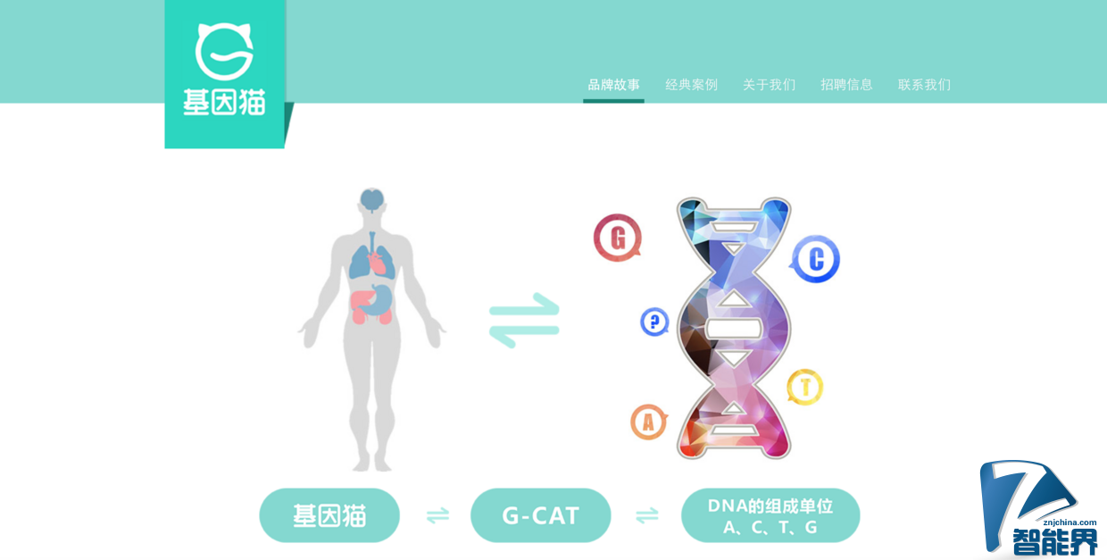 基因检测可能要打价格战了，全环节自研的 “基因猫” 能突围而出吗