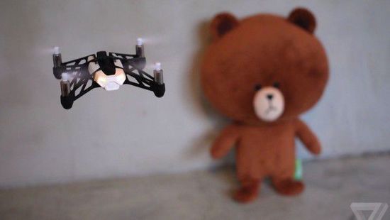研究显示黑熊等野生动物也烦无人机