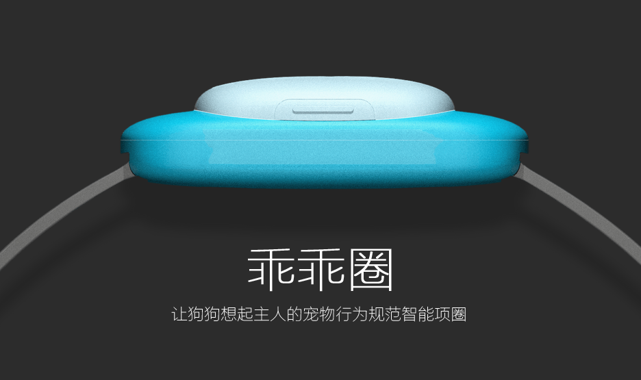 狗狗改掉坏习惯的好帮手—乖乖圈