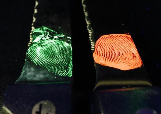 新的指纹识别技术能让指纹在黑暗中发光
