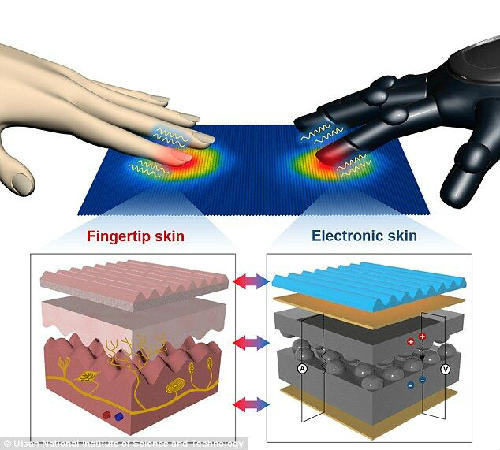 韩研发电子皮肤 可感知温度变化甚至一根头发重量