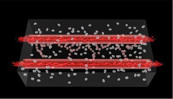 科学家用3D打印技术制造“活的”血管组织
