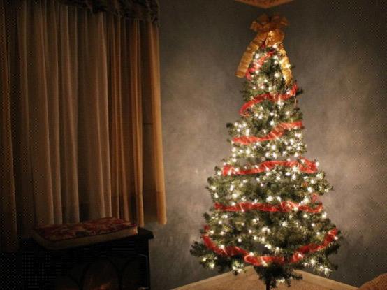 爱尔兰圣诞树种植者使用科技手段避免偷伐