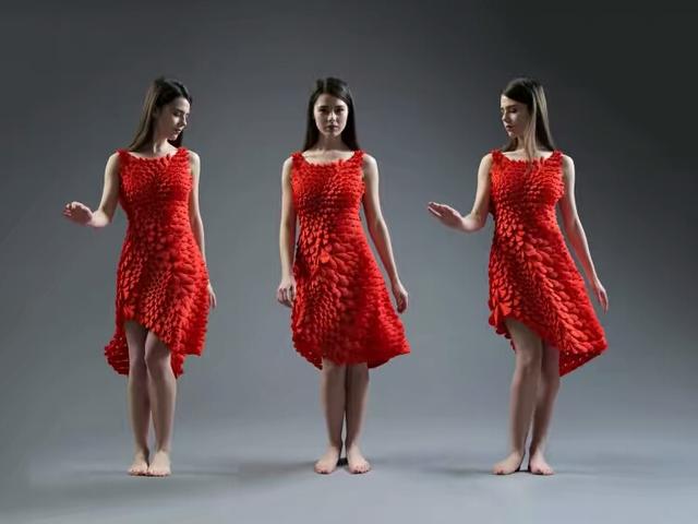 够fashion 1600片花瓣的3D打印裙