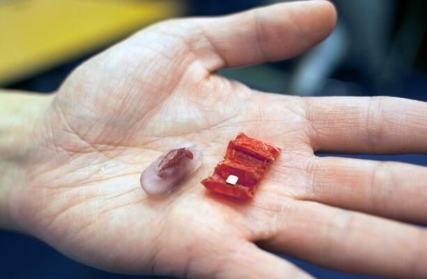MIT 推出可食用的胶囊机器人