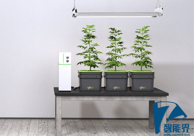 1466415149823111.jpg 1466415149823111.jpg