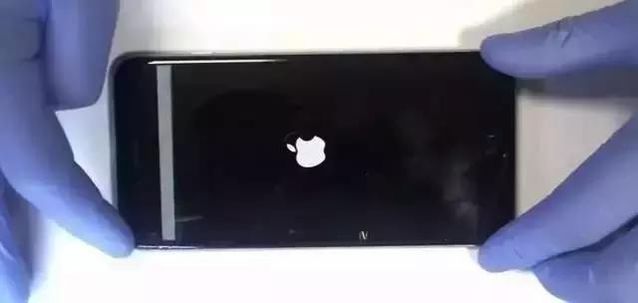  iPhone 6大规模屏幕失灵，果粉怒告苹果
