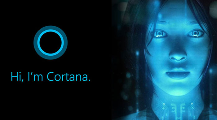 你一定不知道，Cortana 背后的枪手是这些人……