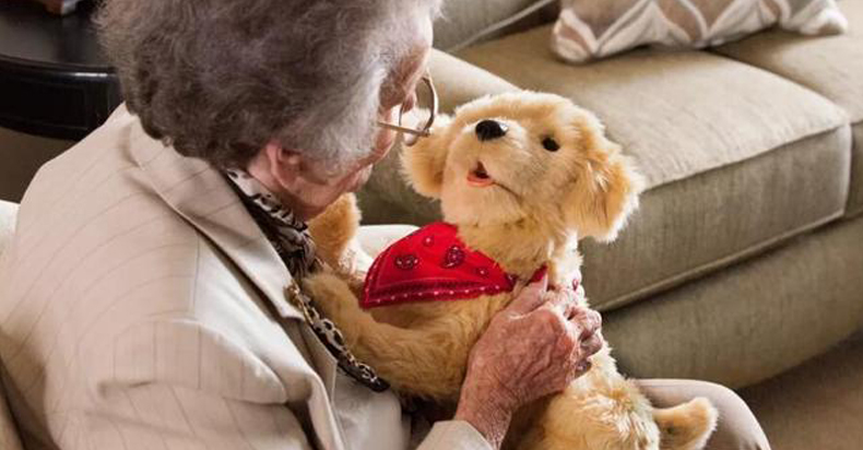 机器人不仅要取代人类的很多岗位 连宠物狗也要失业了