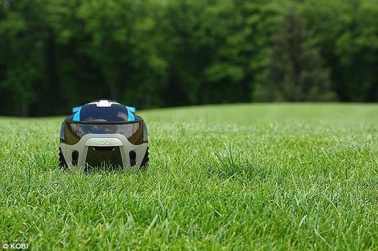 全球首个全自动园丁机器人！割草扫叶除雪样样行