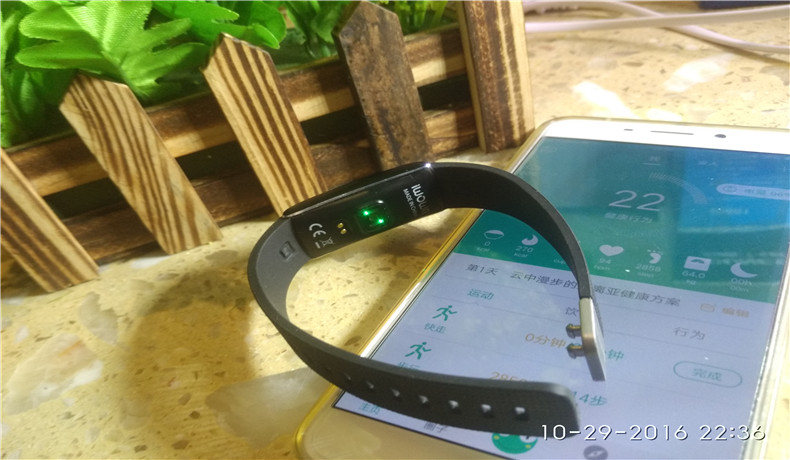 埃微蛋卷手环-------你的私人健康助手