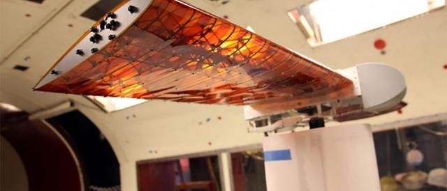 MIT研发新型飞机机翼 不像飞机像个鸟