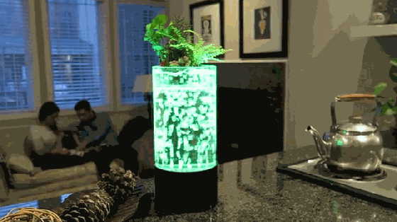 各种炫酷 这款水生植物LED灯能创造梦幻般的光影
