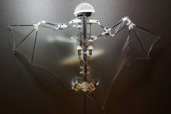 超轻“蝙蝠机器人”问世 可在空中飞行和转弯