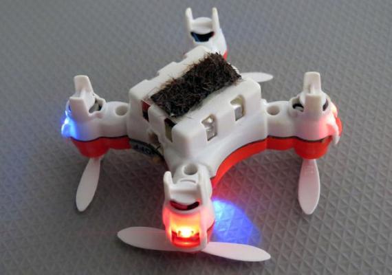 无人机能传播花粉 但仍取代不了勤劳的小蜜蜂