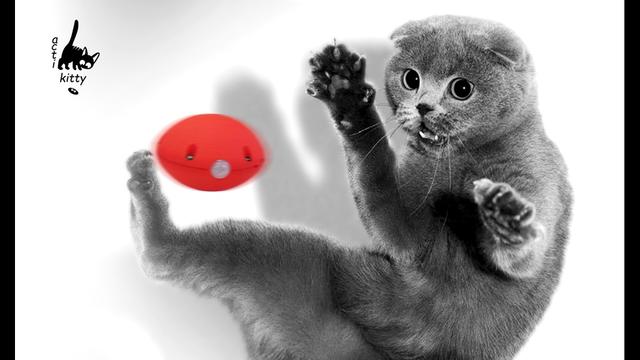 1487220643583941.jpg 1487220643583941.jpg