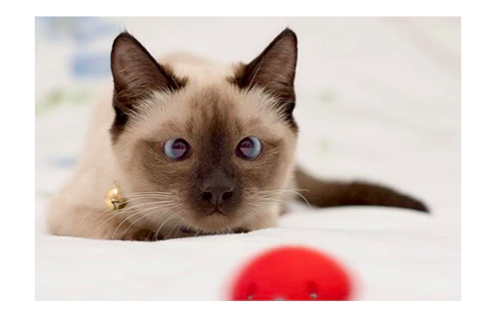 1487220810105087.png 1487220810105087.png