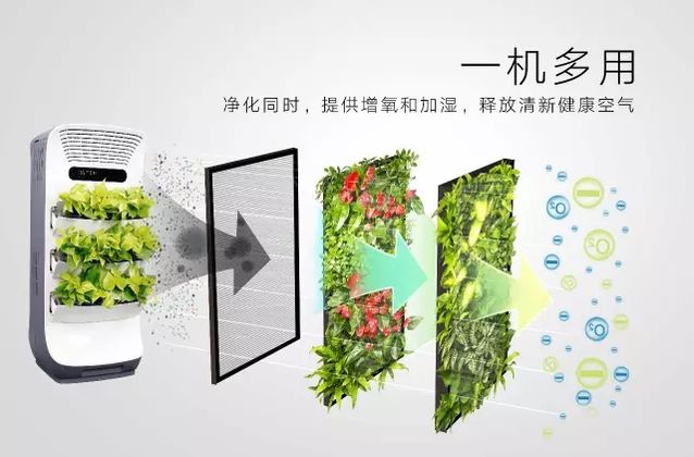 1492048574622971.jpg 1492048574622971.jpg