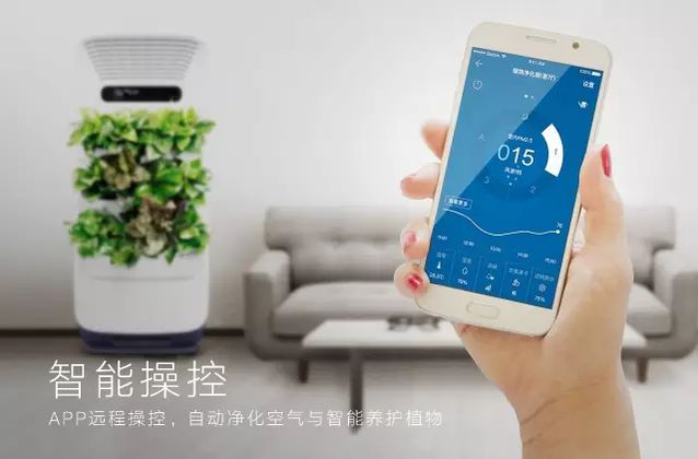 1492048600119012.jpg 1492048600119012.jpg