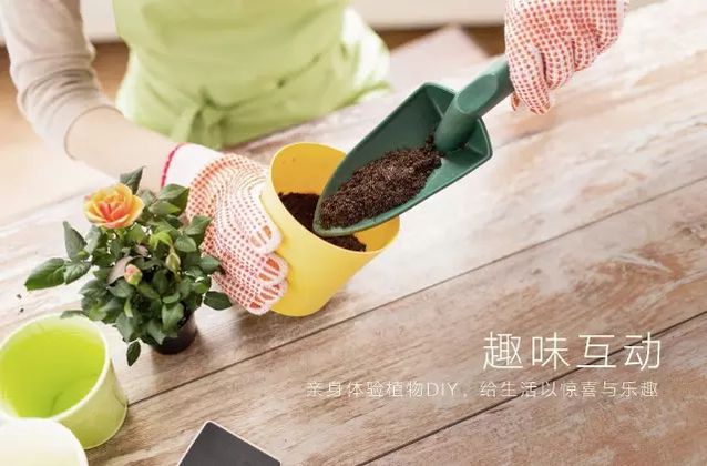 1492048726139250.jpg 1492048726139250.jpg