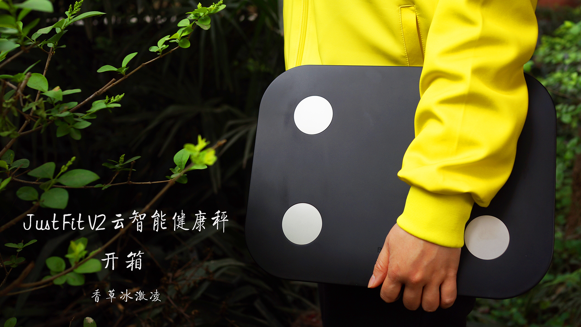 博冠Just Fit V2云智能健康秤开箱