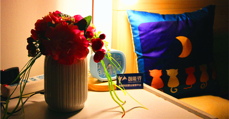 会净化空气的花儿：优山美地负离子仿真花空气净化器体验