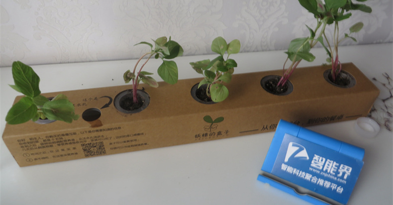 妖精的盒子——放心蔬菜自己种，美味新鲜带回家