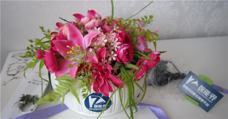 优山美地负离子仿真花空气净化器——居家净化先锋，长享自然呼吸