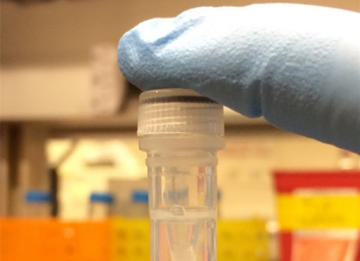 美国科学家首次成功利用DNA侵入计算机程序