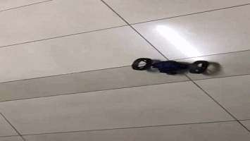 1507626874911542.gif 1507626874911542.gif