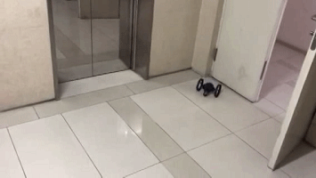 1507626987132611.gif 1507626987132611.gif