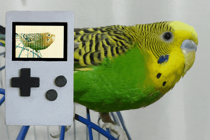 1517534127124904.gif 1517534127124904.gif