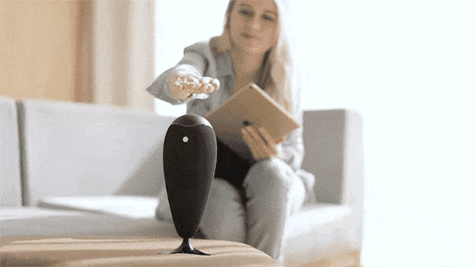 1522372298837226.gif 1522372298837226.gif