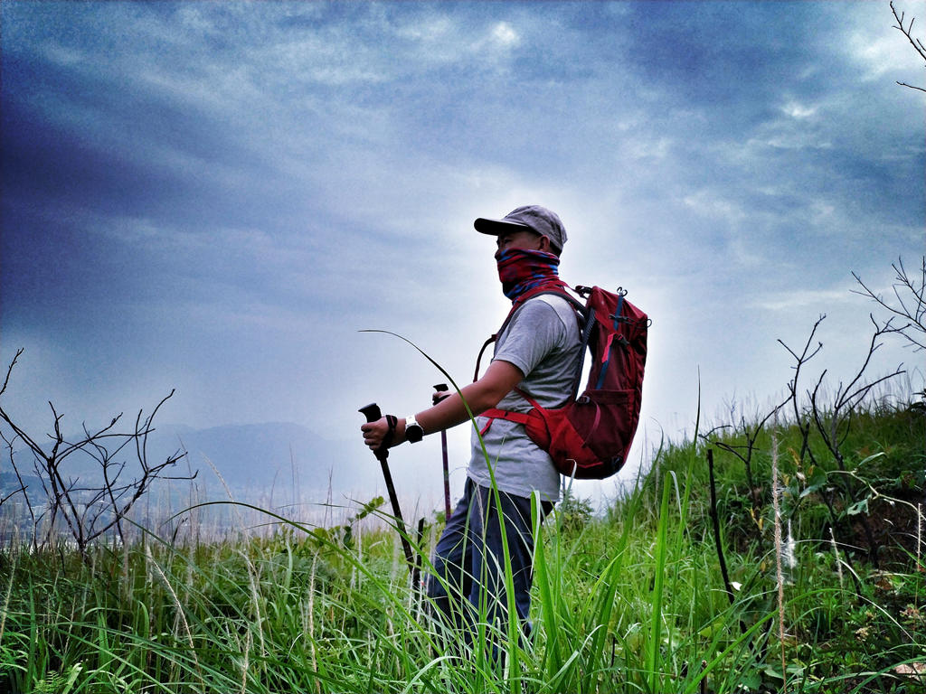 1529504579136410.jpg 1529504579136410.jpg