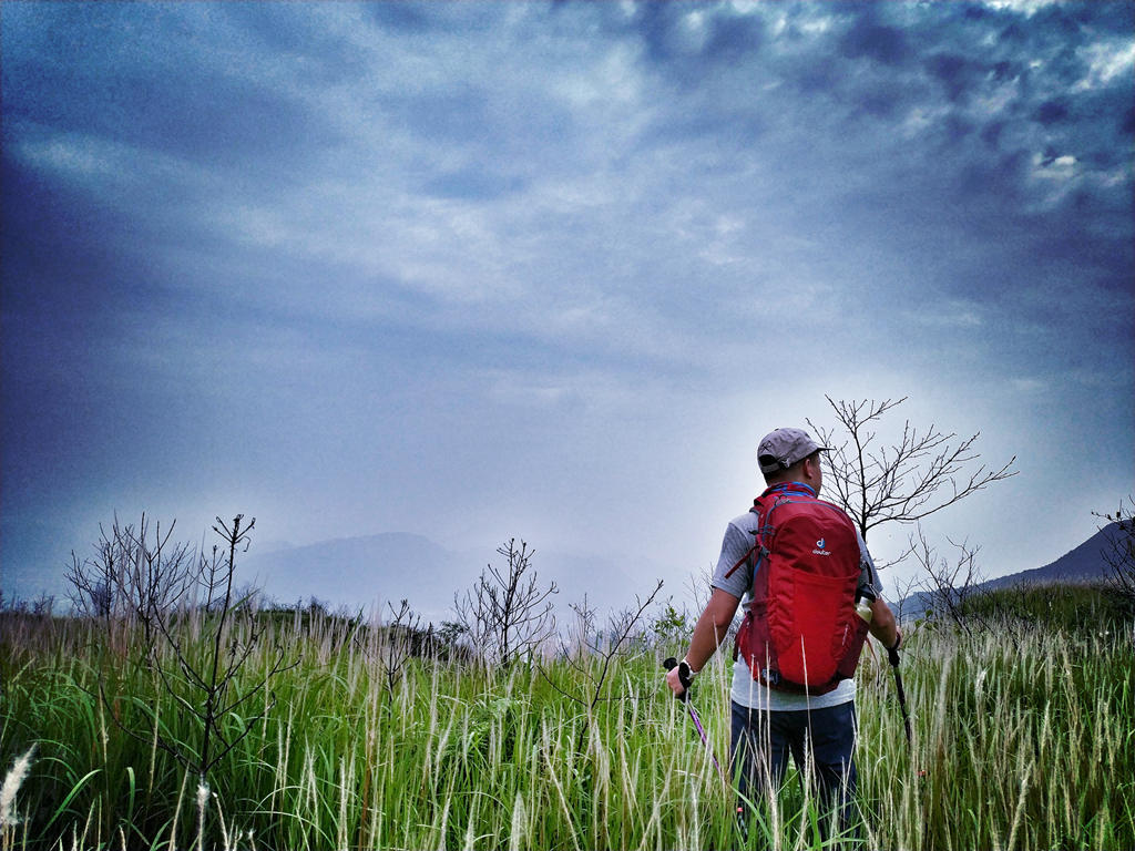 1529504579271272.jpg 1529504579271272.jpg