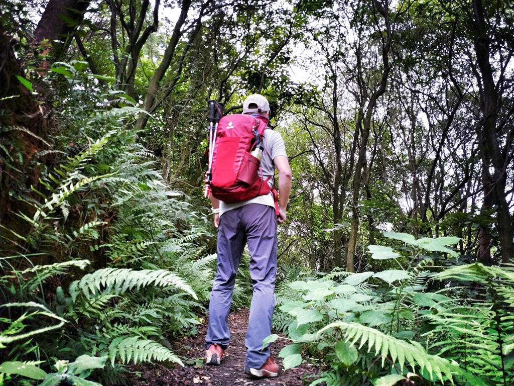 1529504583104580.jpg 1529504583104580.jpg