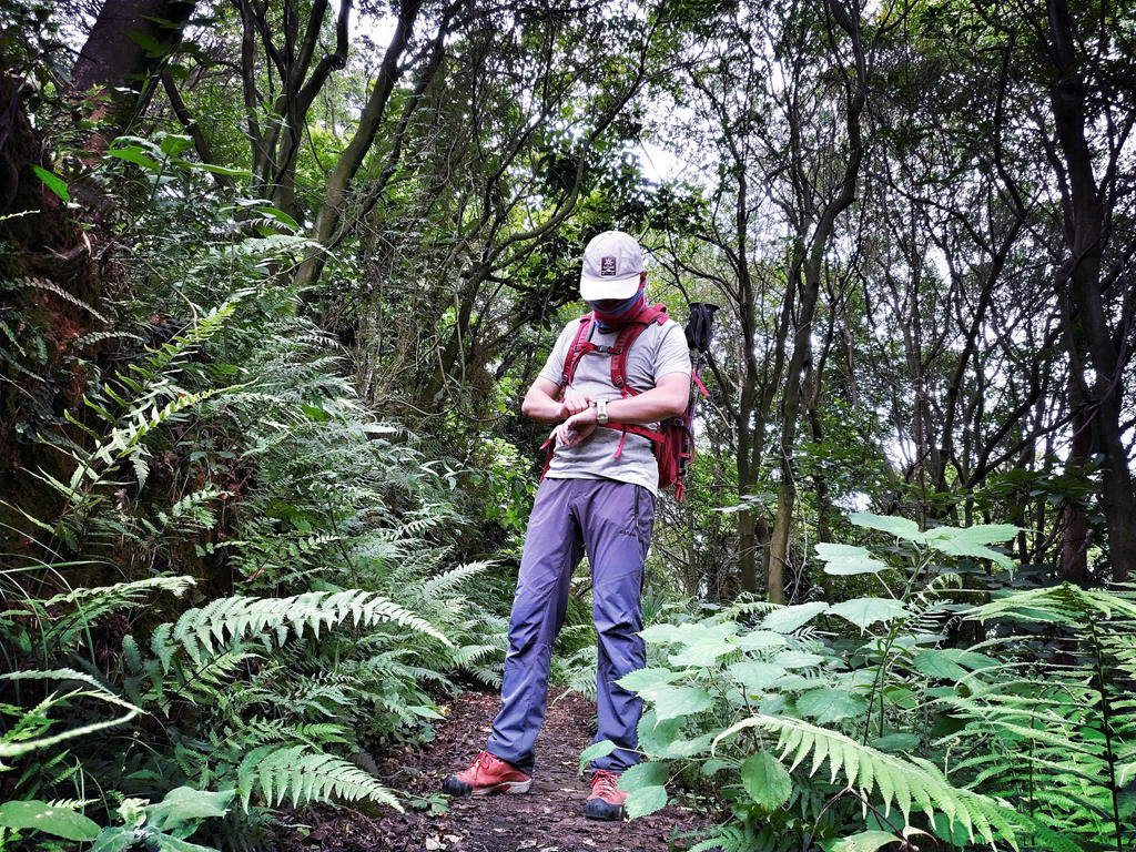 1529504583904097.jpg 1529504583904097.jpg