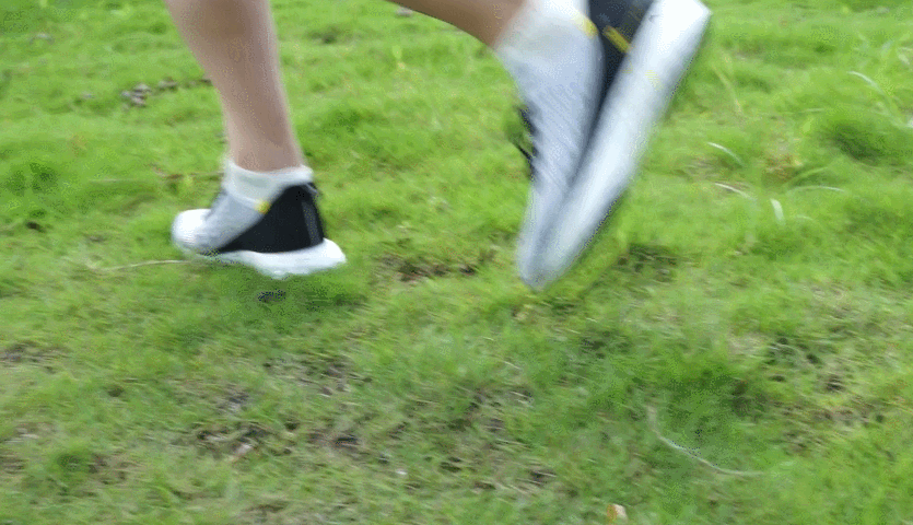 1563608099895229.gif 26.gif