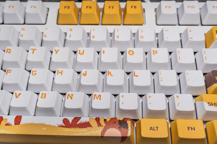 1584971683350689.jpg