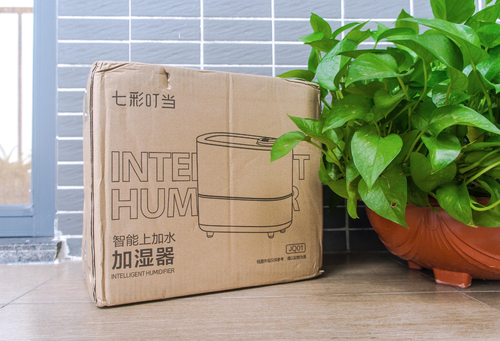 1642053446729913.jpg 1642053446729913.jpg