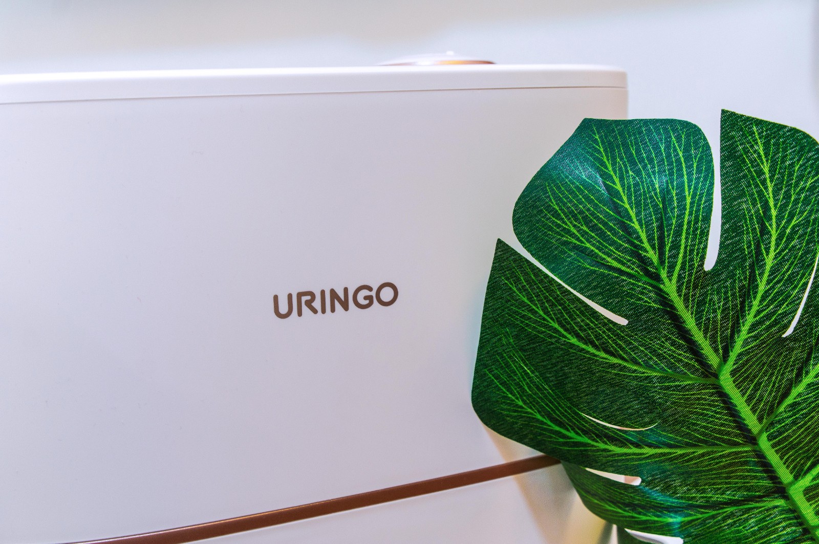 1642054545966070.jpg 1642054545966070.jpg