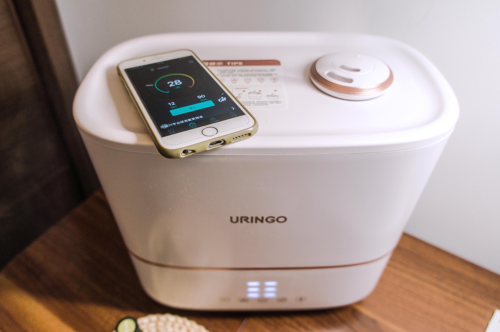 1642056136690675.jpg 1642056136690675.jpg