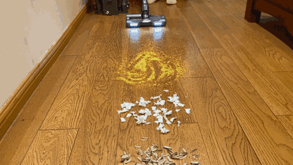 干垃圾 一扫即过，小米 纸屑 瓜子皮