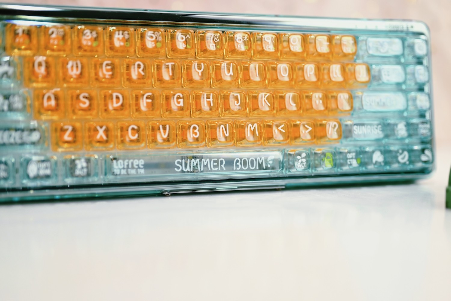 1665247503671105.jpg